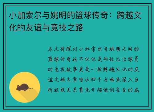 小加索尔与姚明的篮球传奇：跨越文化的友谊与竞技之路